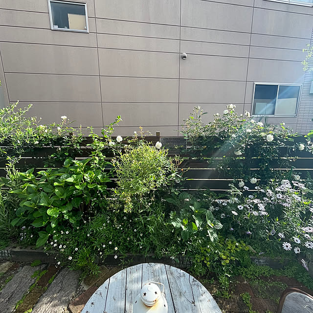 mayumiさんの部屋