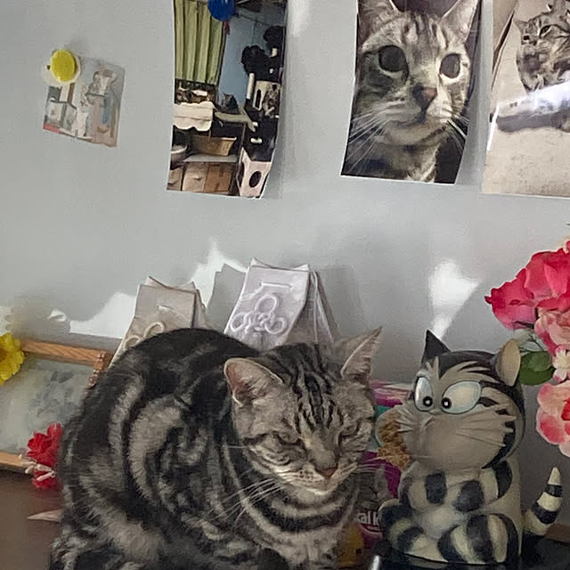 zabonzabonさんの実例写真
