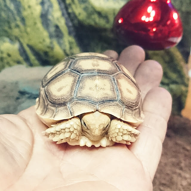 hiro4649さんの実例写真