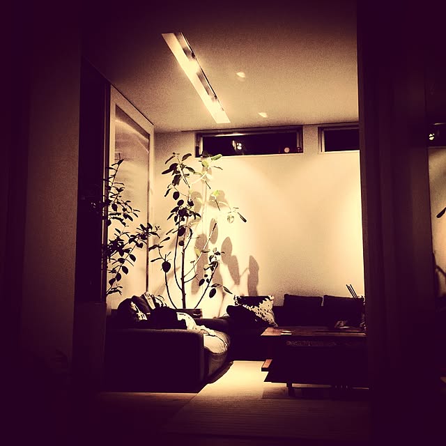 shamoyamaさんの実例写真