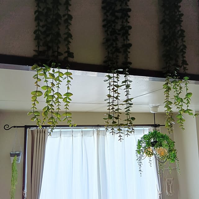 mikeさんの実例写真