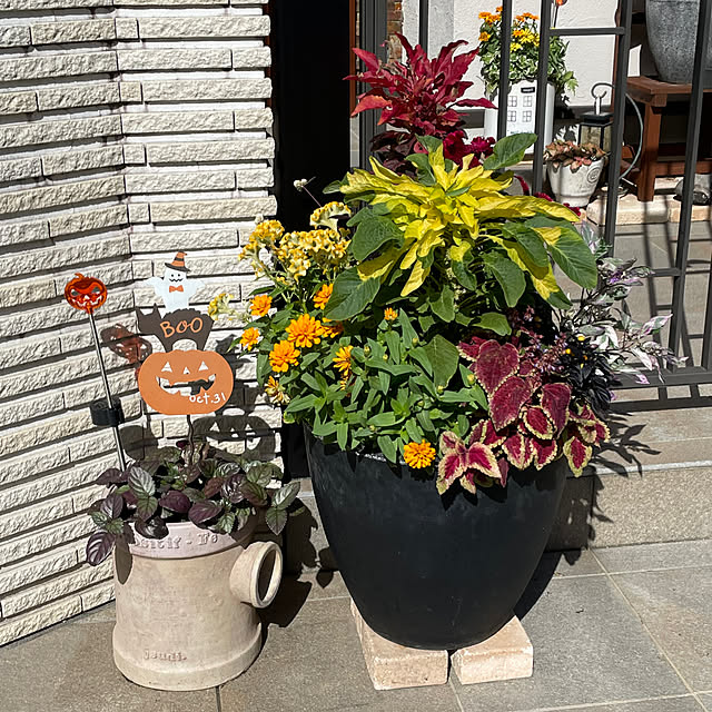 maimai0110さんの実例写真