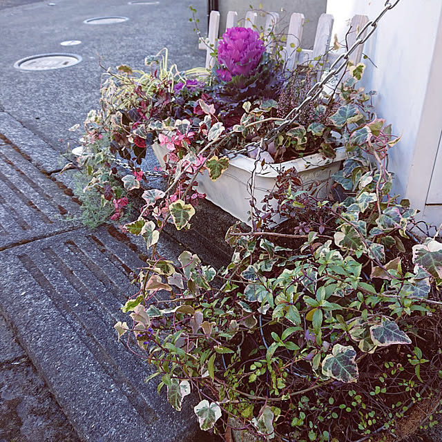 asaさんの実例写真