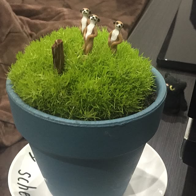 moriyamanekoさんの実例写真
