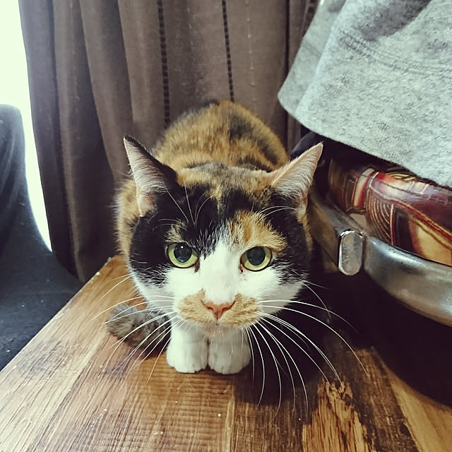 Midoriさんの実例写真