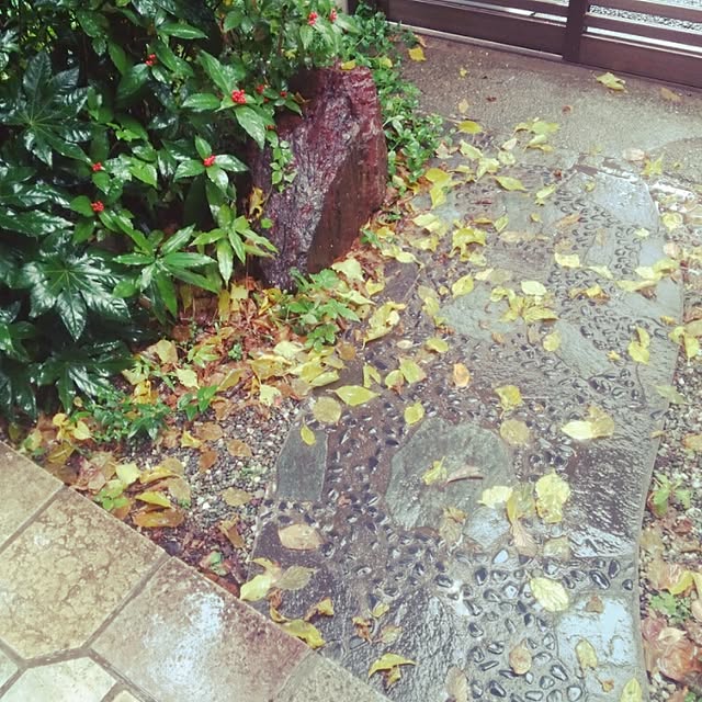 実例写真