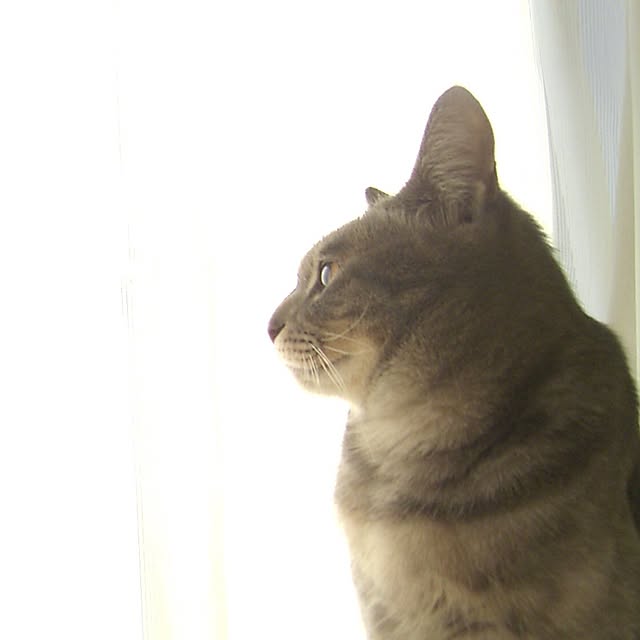 KORUN_designさんの実例写真