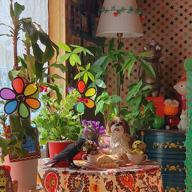 kumutanさんの実例写真