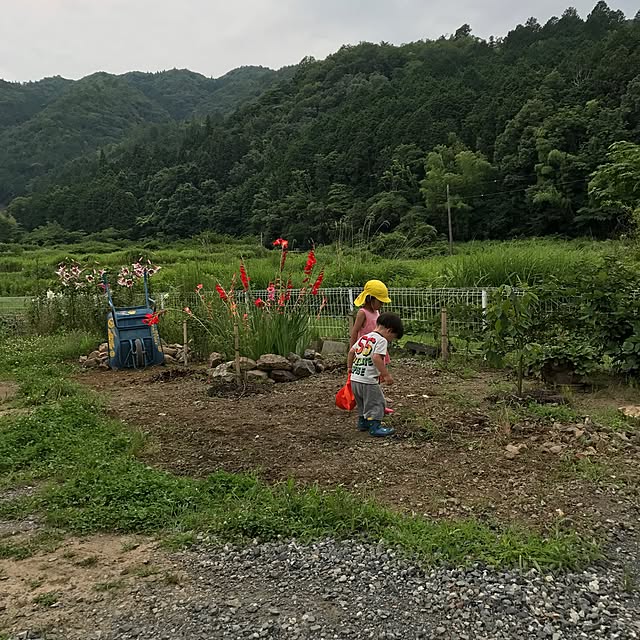 pepeさんの実例写真