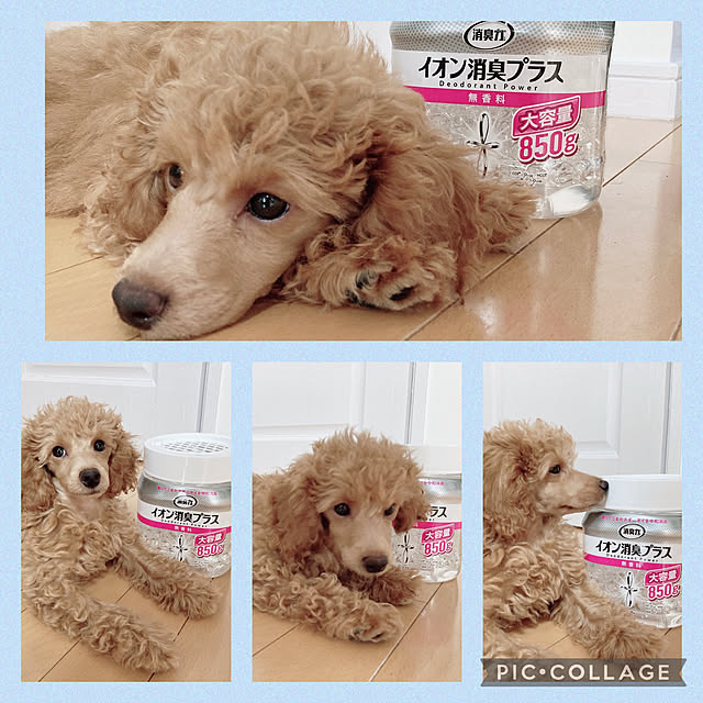 kazuさんの実例写真