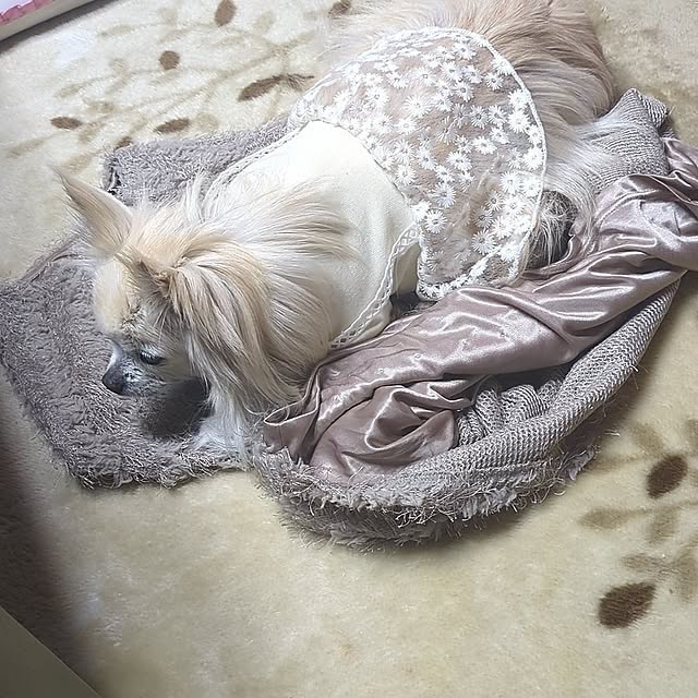 minnieさんの部屋