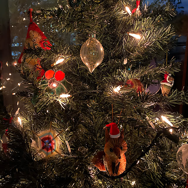 amyさんの実例写真