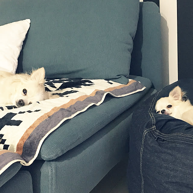 Mihocoさんの実例写真