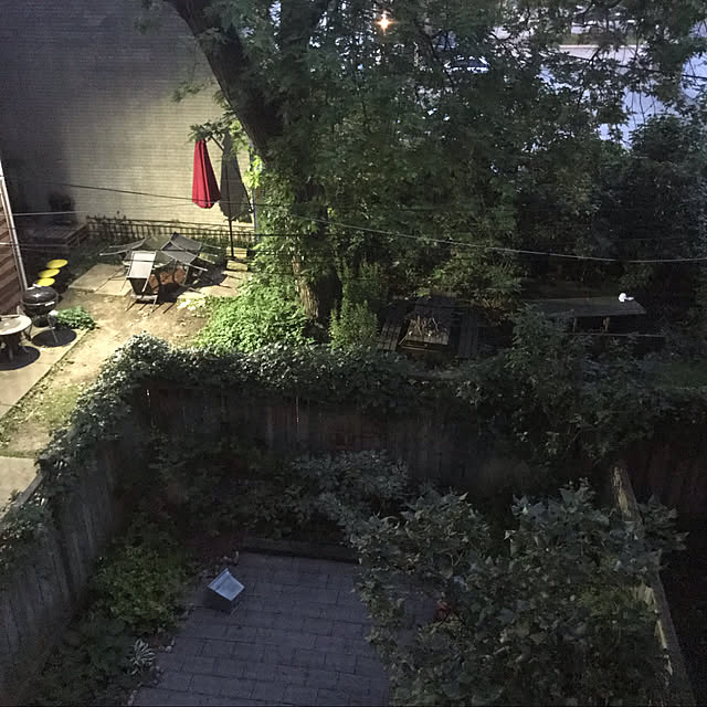 Mikiさんの実例写真