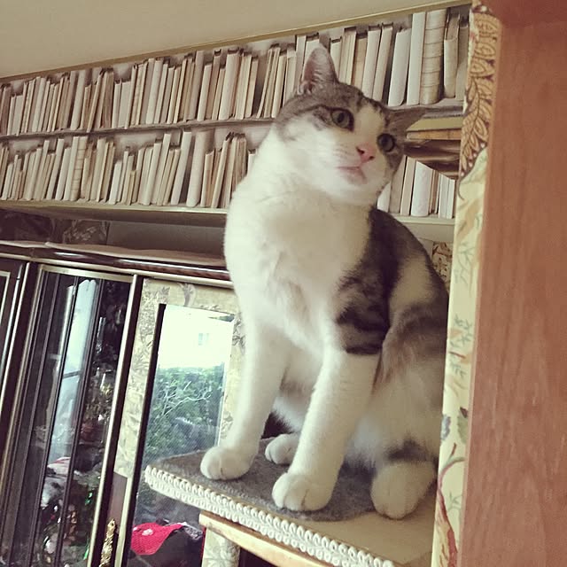 emmyyさんの実例写真