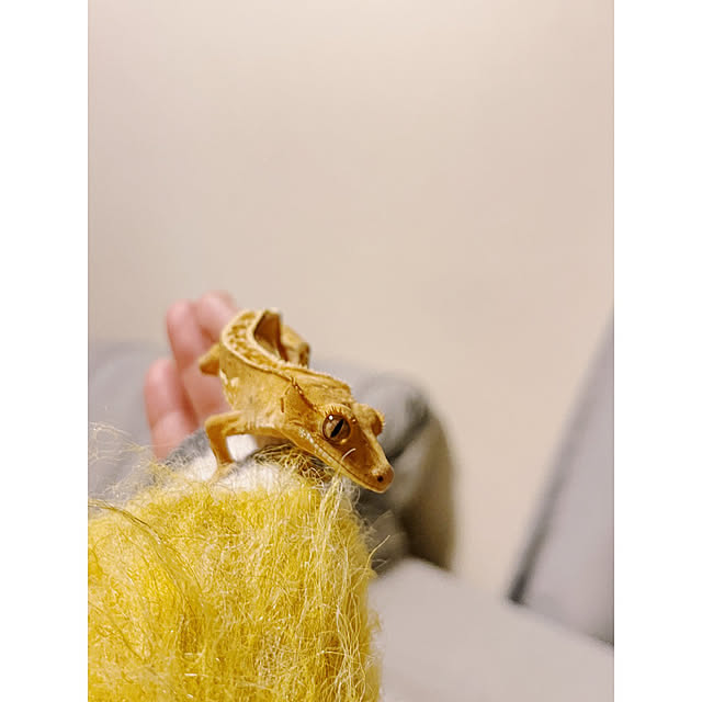 w_end_0625さんの実例写真