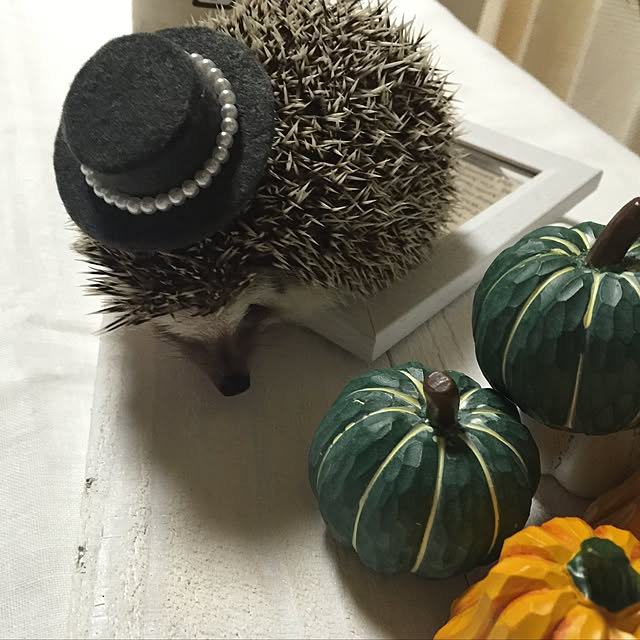 RURULOVEさんの実例写真