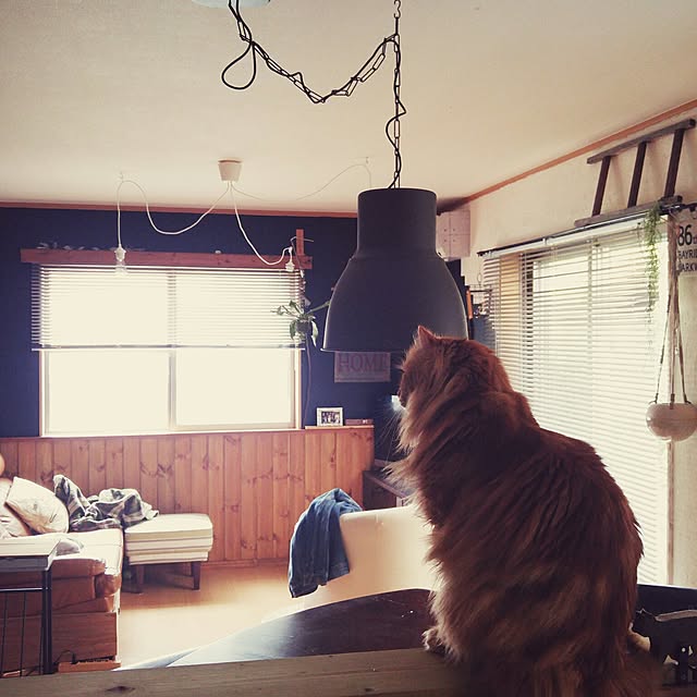 l..tomesanさんの実例写真