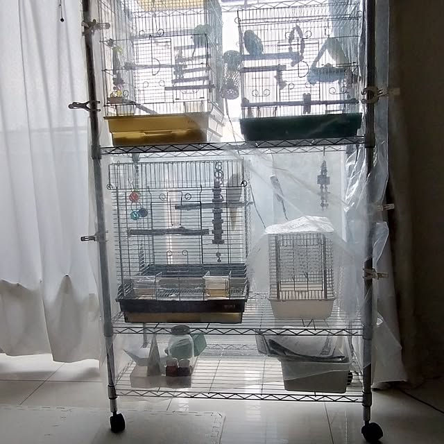 toratanさんの部屋