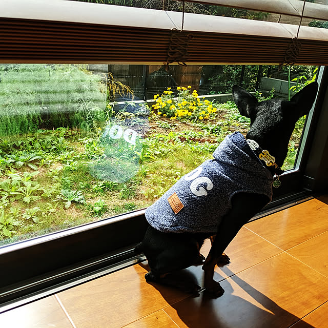 shizuponさんの実例写真