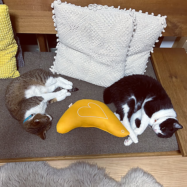 haruさんの実例写真