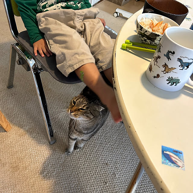 mikomaruさんの部屋