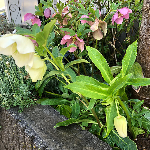 miukiさんの部屋