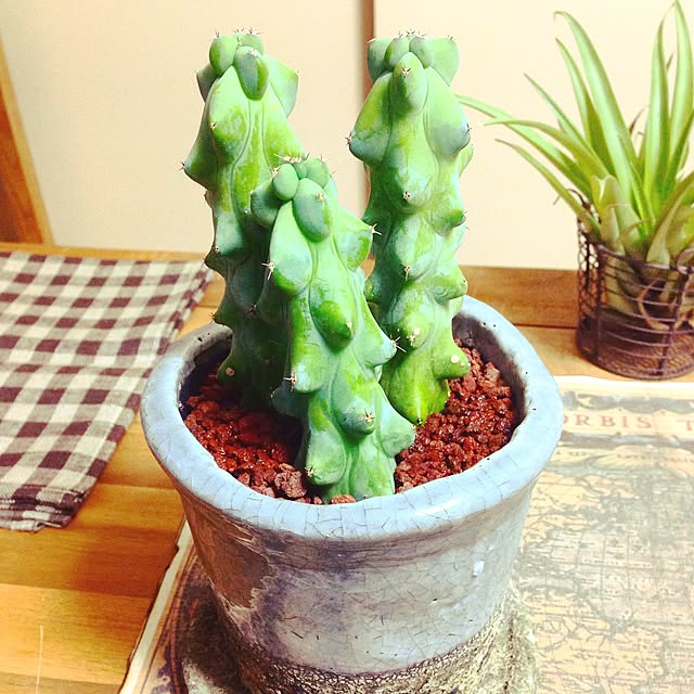 furutasoさんの実例写真