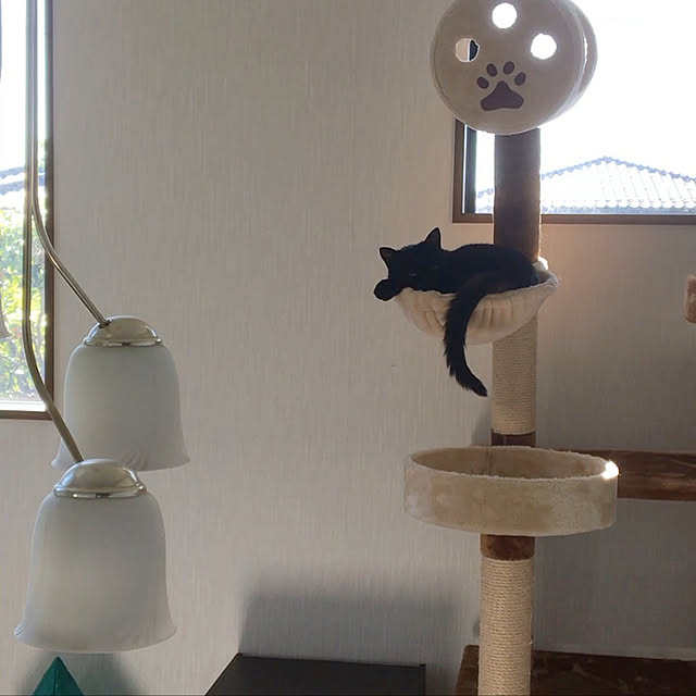 uraraさんの実例写真