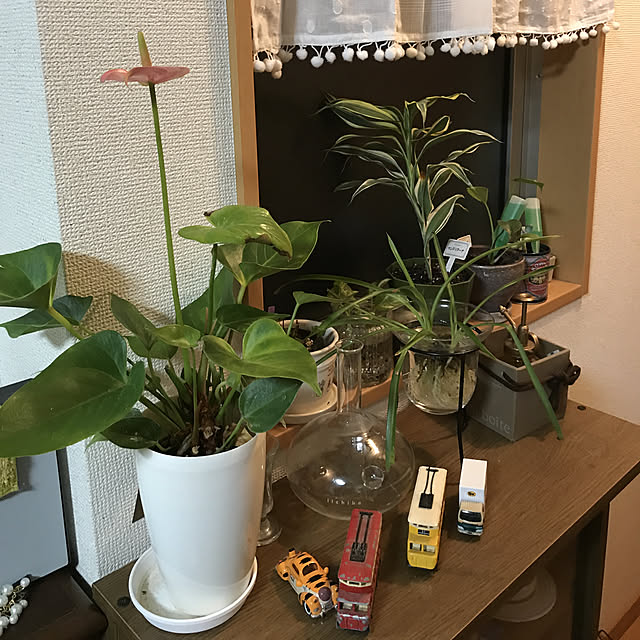 実例写真