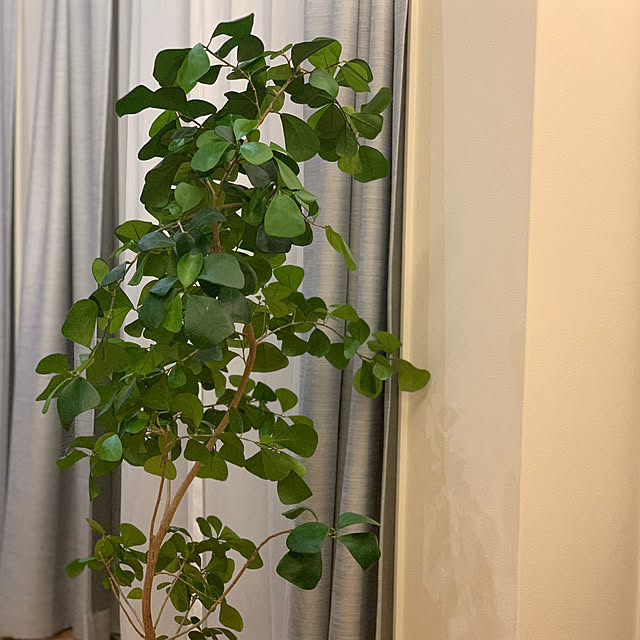 h_home.hさんの実例写真