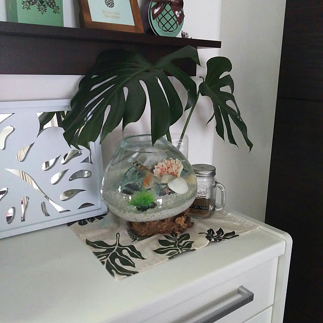 実例写真