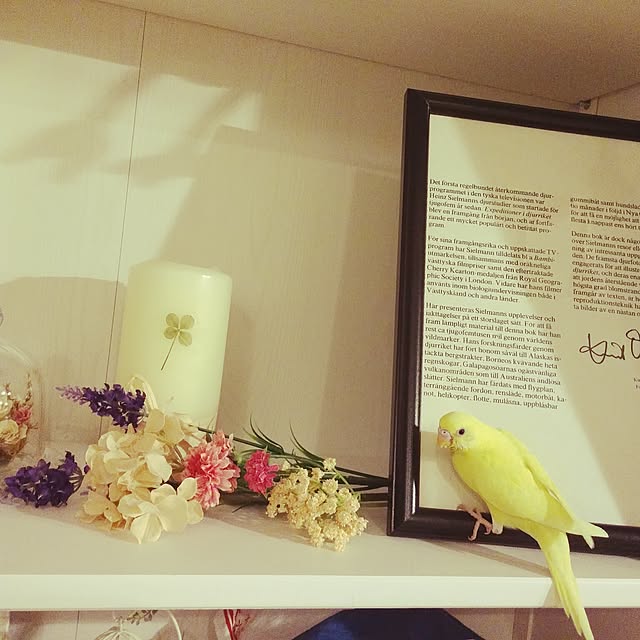 Minakoさんの実例写真
