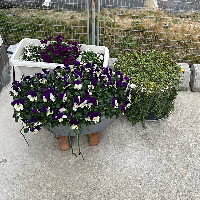 chatnoirさんの部屋