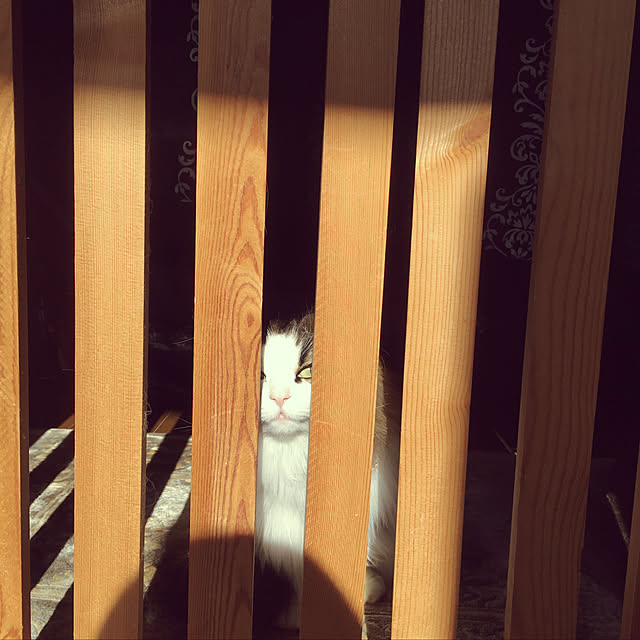 uraraさんの実例写真