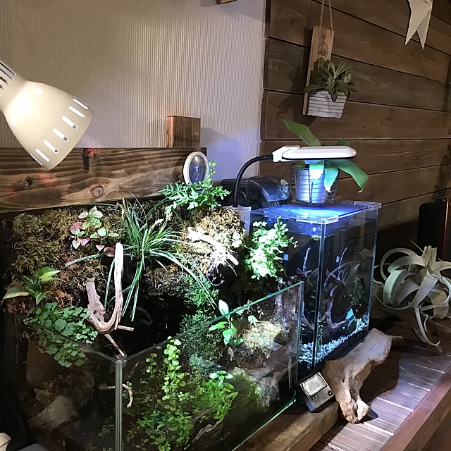 実例写真