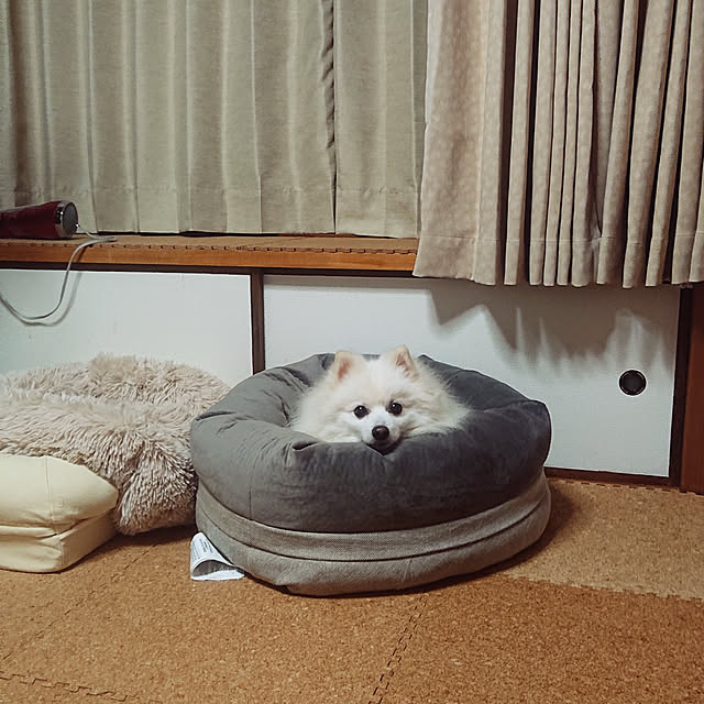 e-mailさんの実例写真