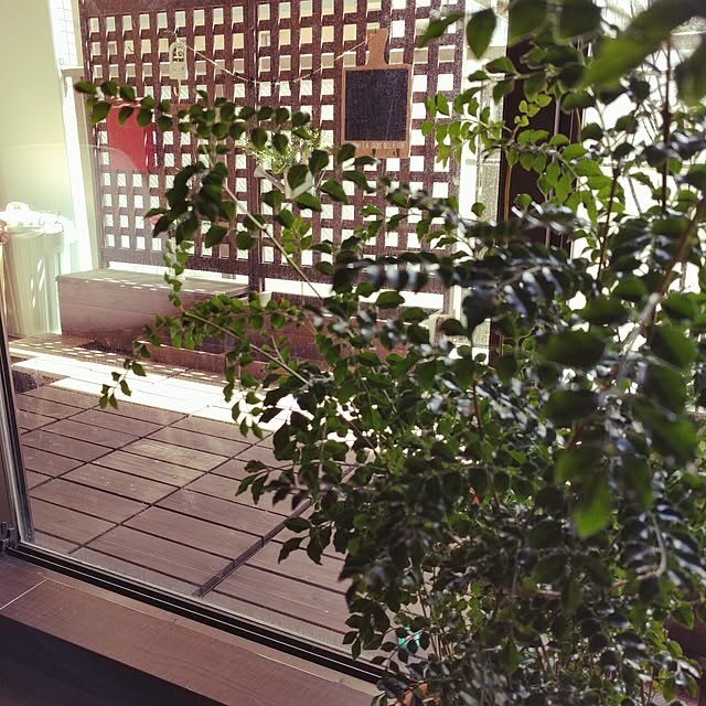 Cozy-m-Roomさんの実例写真