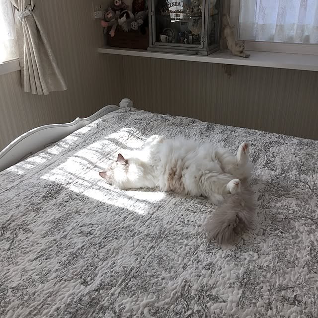 yuchiさんの実例写真