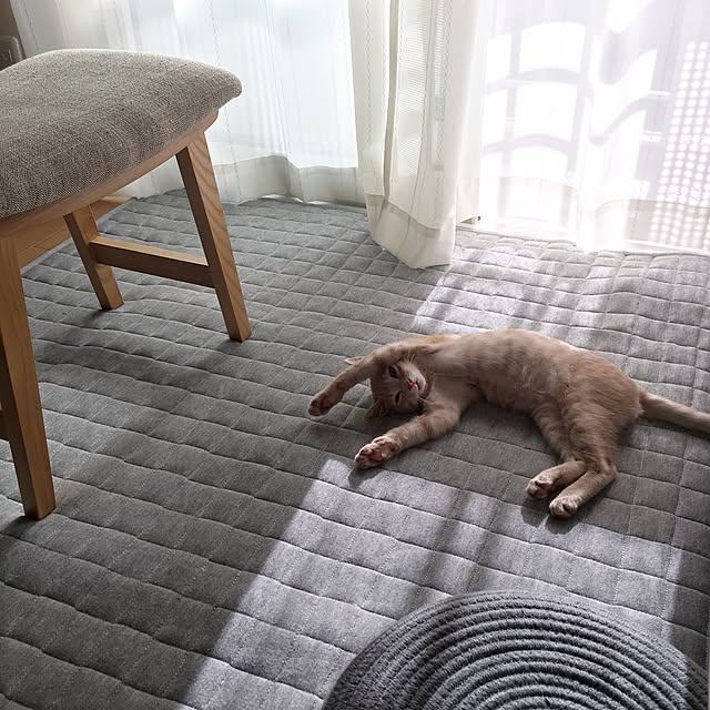 Chamさんの実例写真