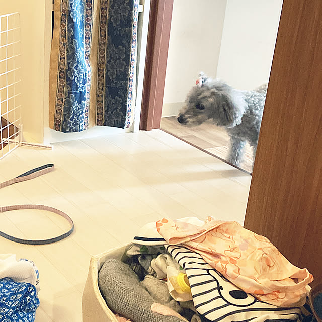 coochanさんの部屋