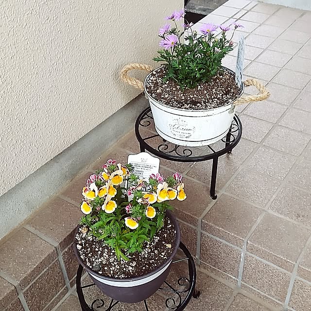 sayapさんの実例写真