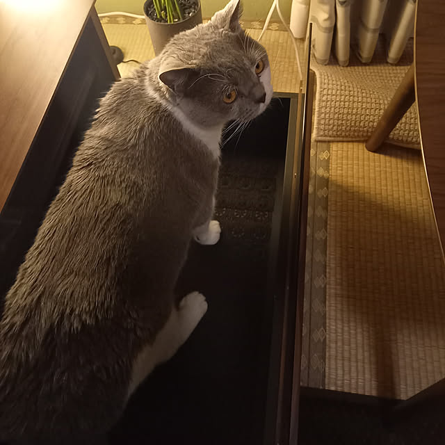 rhuさんの実例写真