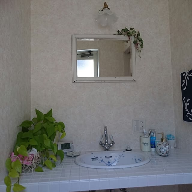 バス/トイレのインテリア実例 - 2015-05-30 11:28:30