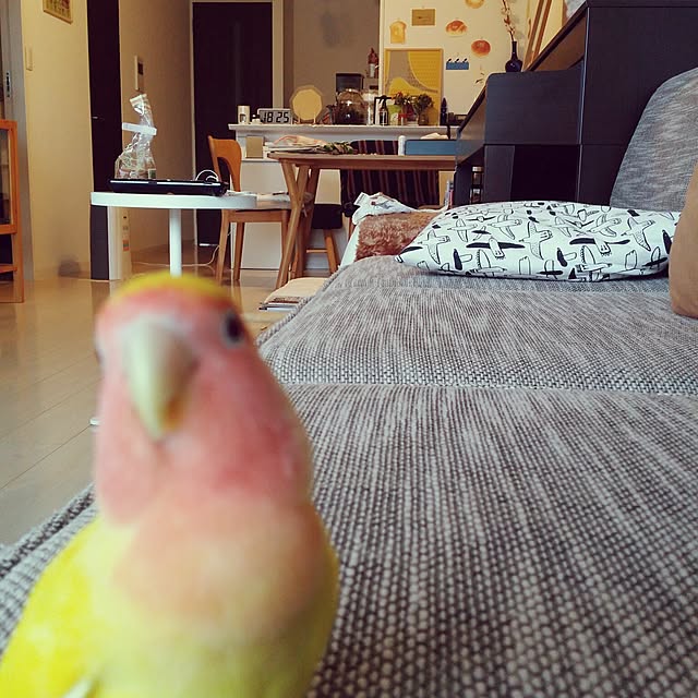 m-kinocoさんの実例写真