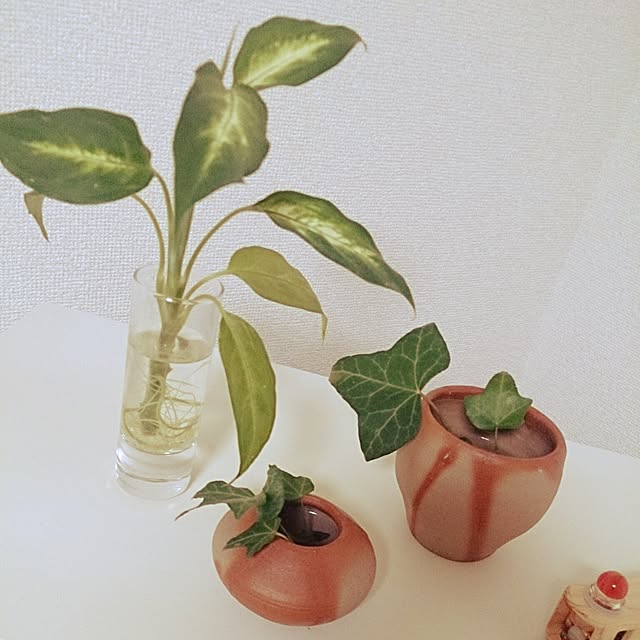mishi0さんの実例写真