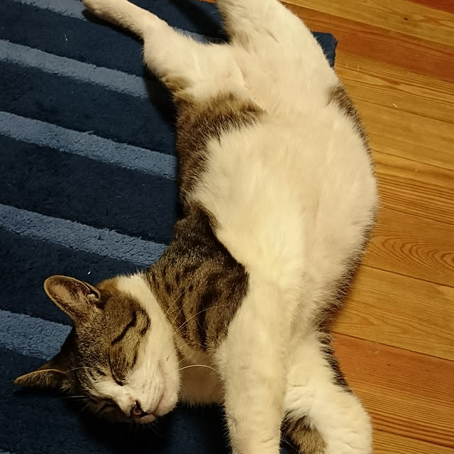yumiさんの実例写真