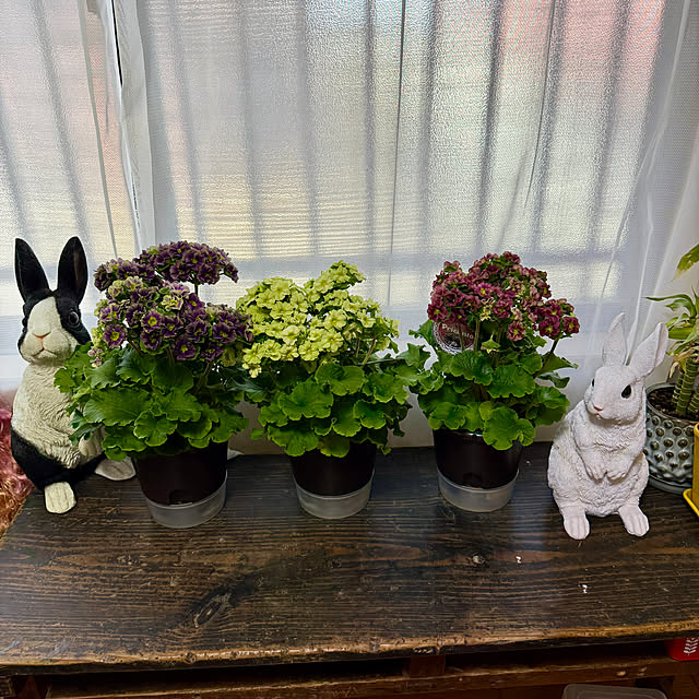 prelumoさんの実例写真