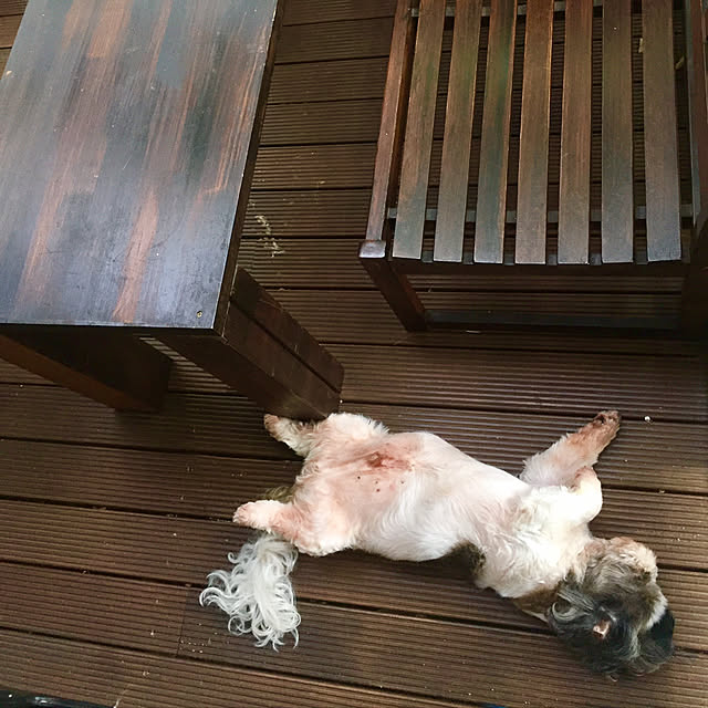 butachanさんの実例写真