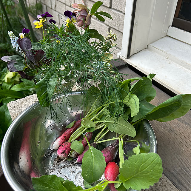 botanさんの部屋